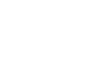 Icon Mitarbeiteranzahl PVS Südwest