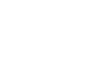 Icon Gründungsdatum PVS Südwest