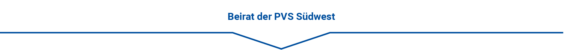 Icon Beirat der PVS Südwest